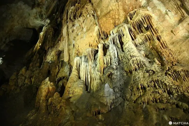 【山口】日本最大の鍾乳洞・秋芳洞の見どころとアクセス