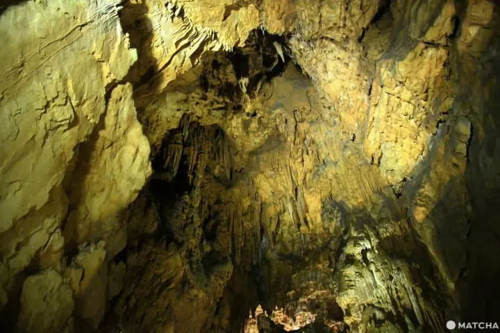 【山口】日本最大の鍾乳洞・秋芳洞の見どころとアクセス