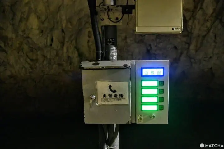 【山口】日本最大の鍾乳洞・秋芳洞の見どころとアクセス