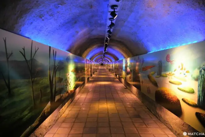 【山口】日本最大の鍾乳洞・秋芳洞の見どころとアクセス