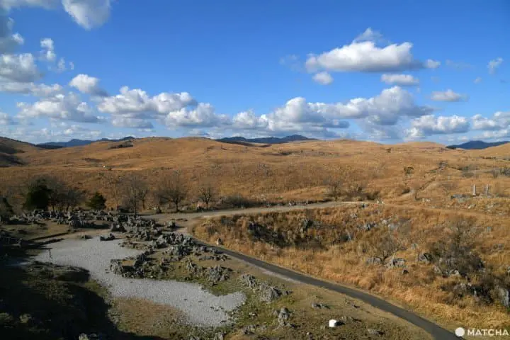 【山口】日本最大の鍾乳洞・秋芳洞の見どころとアクセス