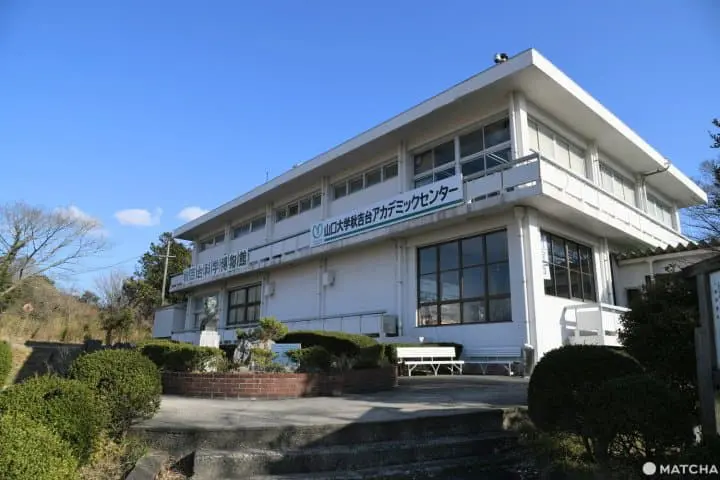 【山口】日本最大の鍾乳洞・秋芳洞の見どころとアクセス