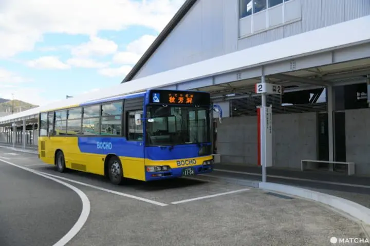 【山口】日本最大の鍾乳洞・秋芳洞の見どころとアクセス