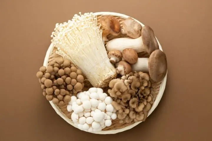 免疫力きのこ類