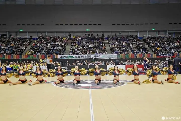 チアリーダーB-ROSE