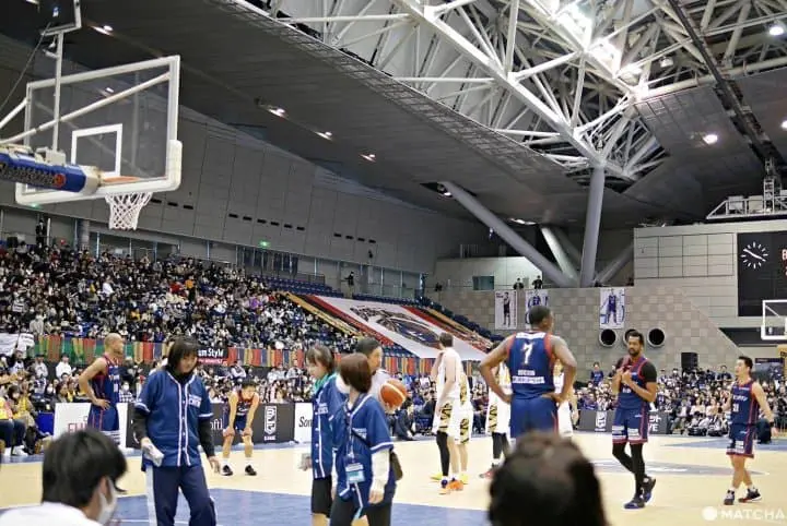 チアリーダーB-ROSE