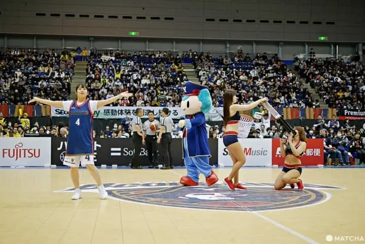 ビーコルセアーズ