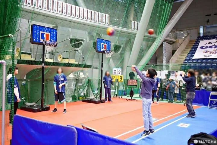 ビーコルセアーズ