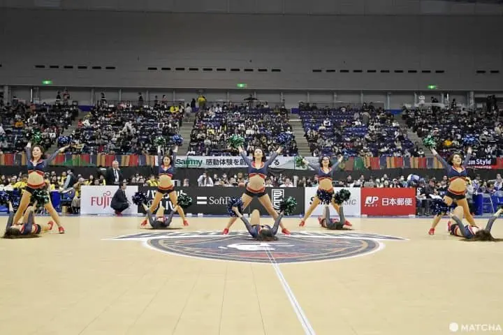 ビーコルセアーズ