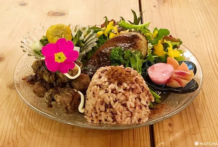 Great Vegan Restaurants In Osaka: Okonomiyaki, Sushi, And Local Dishes!