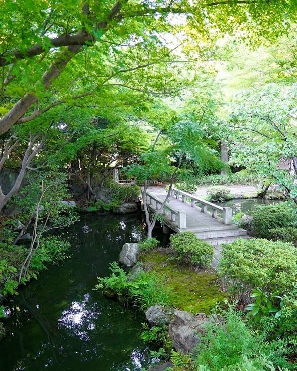 星巴克HANA BIYORI 讀賣樂園 植物園8