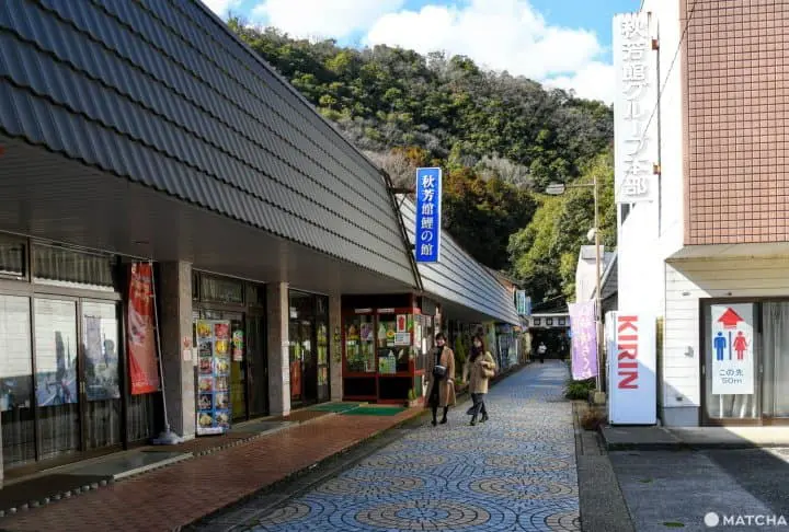 【福岡・広島近く】日本最大の鍾乳洞・秋芳洞の見どころとアクセス