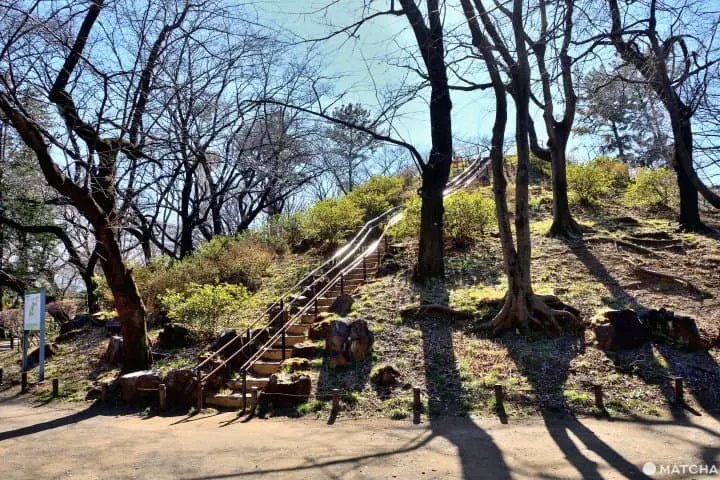 【東京】不只有大學的早稻田巡遊