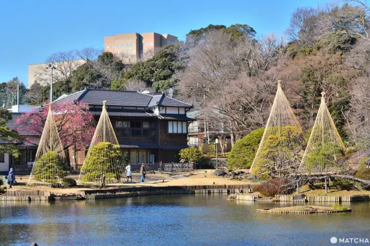 【東京】不只有大學的早稻田巡遊