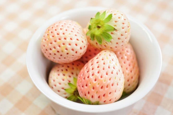 白草莓