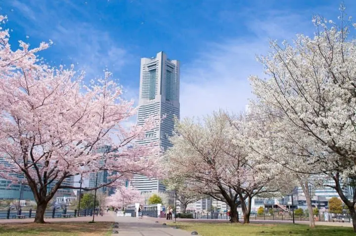 หนึ่งวันสบายๆ ในโยโกฮาม่า (Yokohama) ใกล้โตเกียว งบไม่เกิน 5,000 เยน!