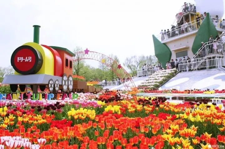 鬱金香四季彩館