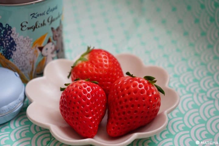 skyberry 草莓