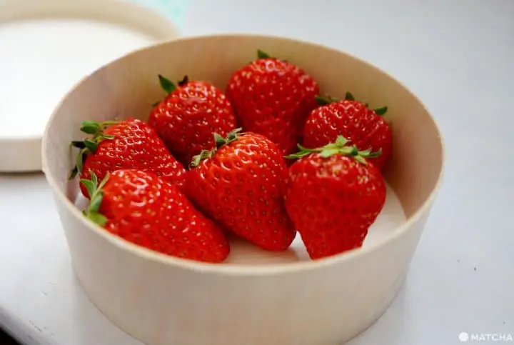 靜岡草莓