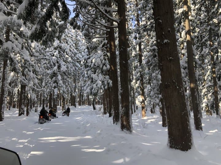 雪郷