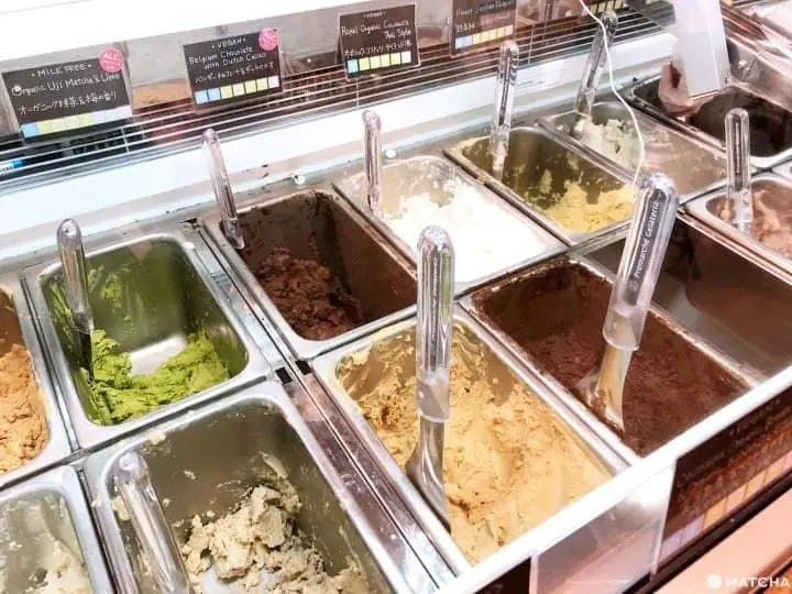 vegan gelato premarche