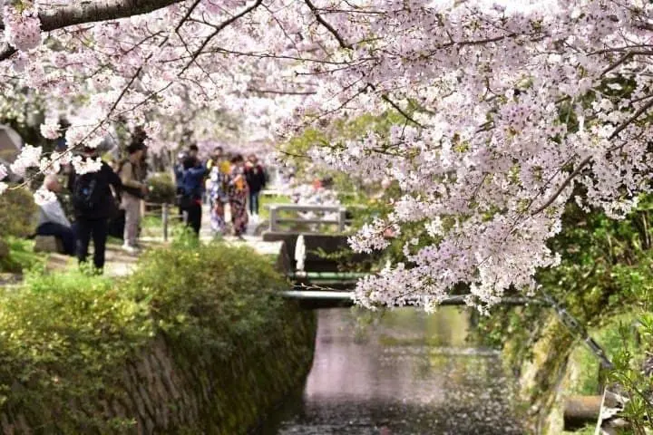 10 Free Things to do in Kyoto