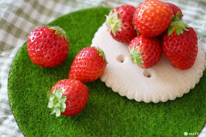 日本草莓