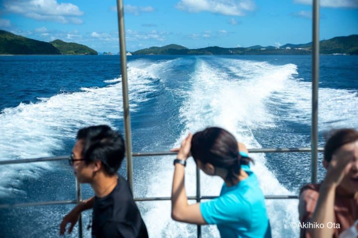 inner island ferry dozen