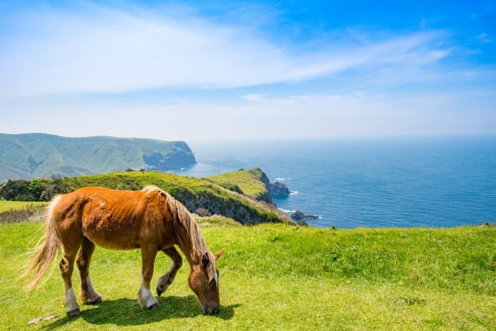 福島