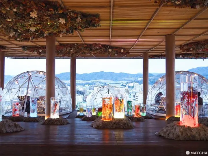 紙鶴塔 廣島 期間限定