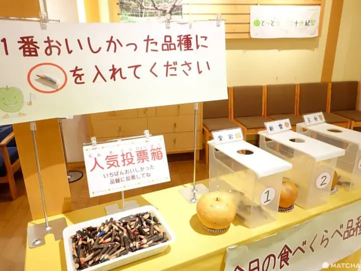 【鳥取】水果滿喫 果園親自摘梨 二十世紀梨記念館了解梨子栽種 