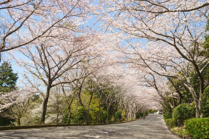 沼津