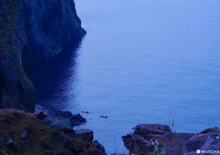 【北海道 中標津】走入鮭魚的生命時光機。鮭魚科學博物館