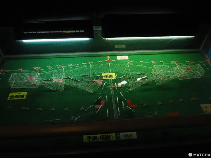 【北海道 中標津】走入鮭魚的生命時光機。鮭魚科學博物館