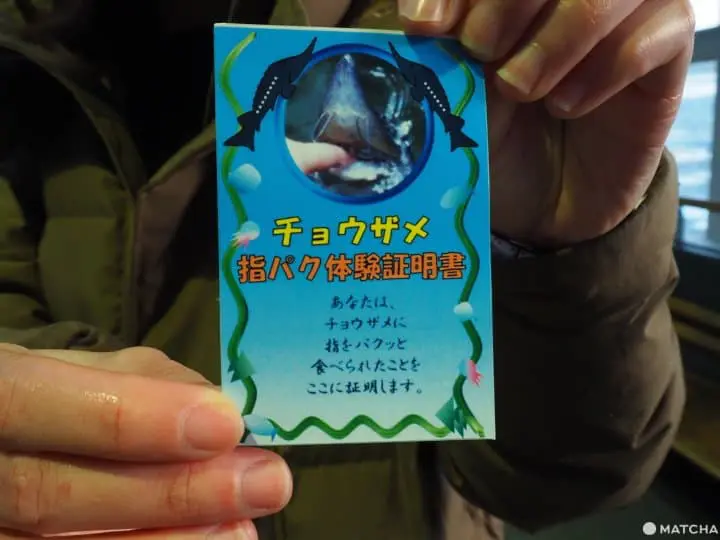 【北海道 中標津】走入鮭魚的生命時光機。鮭魚科學博物館