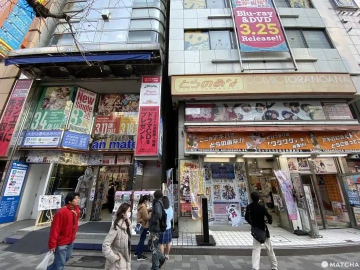 秋葉原animate、虎之穴