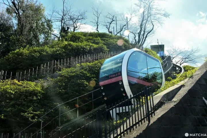 【東京】不用花大錢也能賞逛的市區綠洲