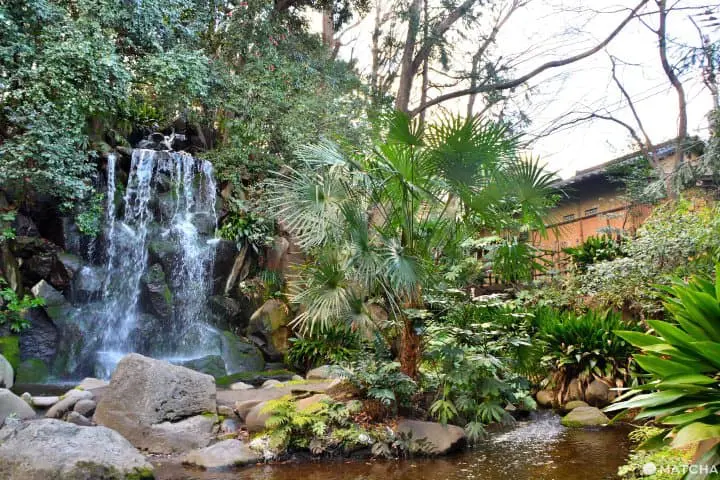 【東京】不用花大錢也能賞逛的市區綠洲