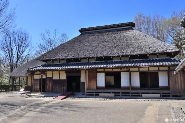 【東京】不用花大錢也能賞逛的市區綠洲