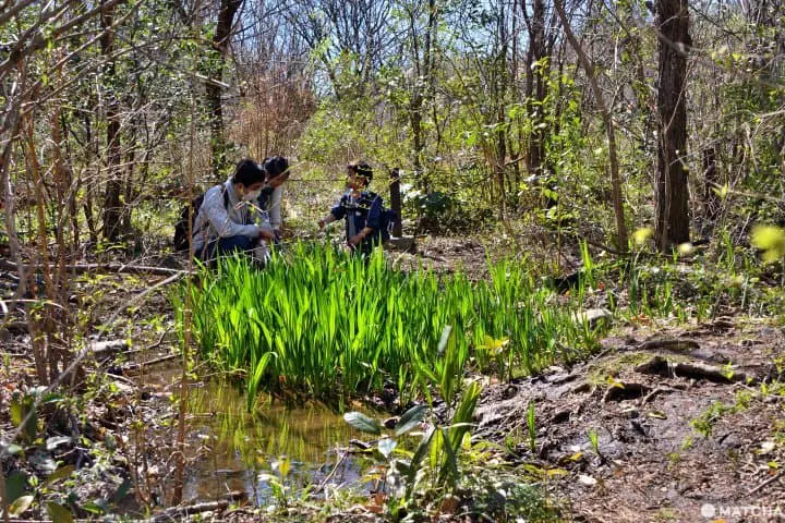 【東京】不用花大錢也能賞逛的市區綠洲