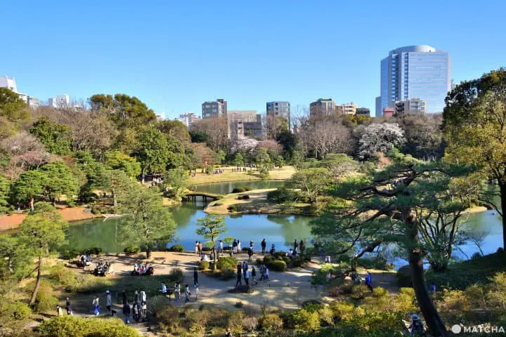 【東京】不用花大錢也能賞逛的市區綠洲