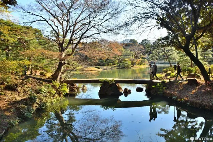 【東京】不用花大錢也能賞逛的市區綠洲