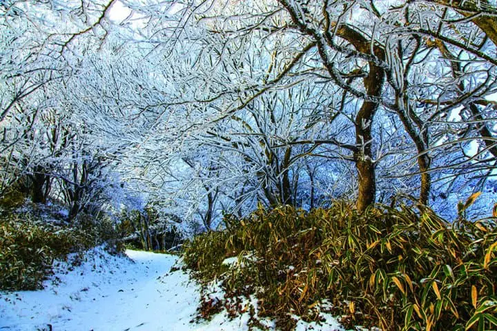 長崎再發掘・自駕精華遊!