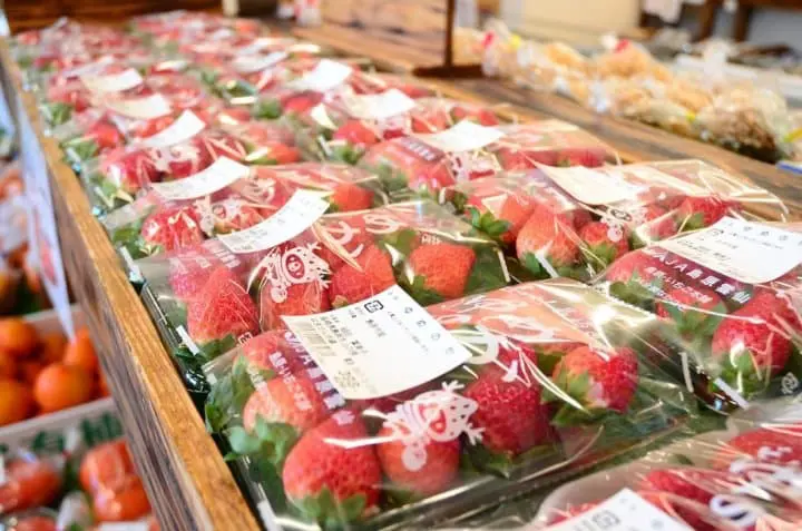 長崎再發掘・自駕精華遊!