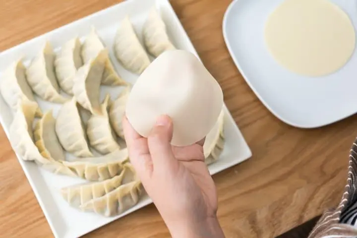 日本餃子吃法大解析！