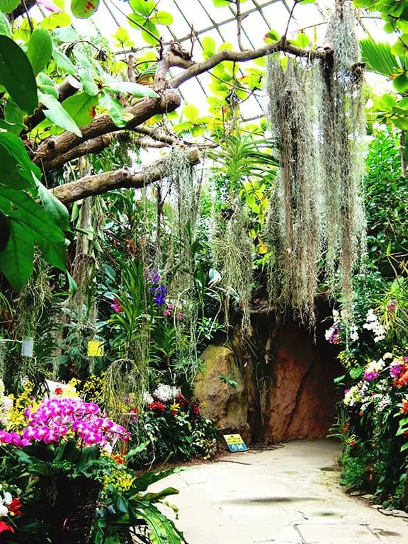 長崎再發掘・自駕精華遊！