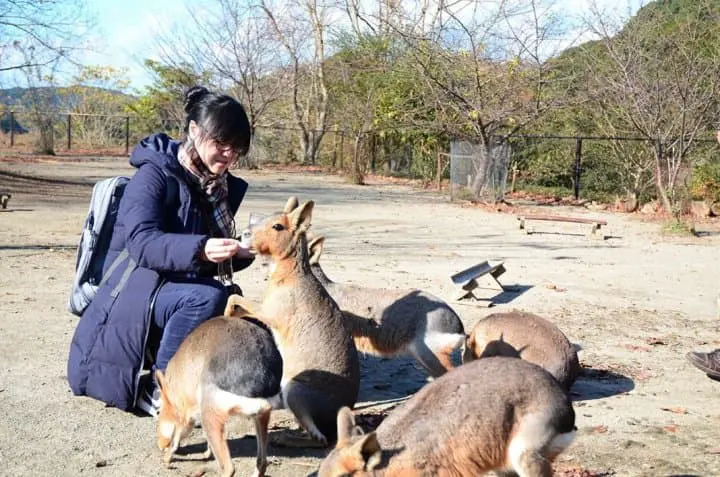長崎再發掘・自駕精華遊！