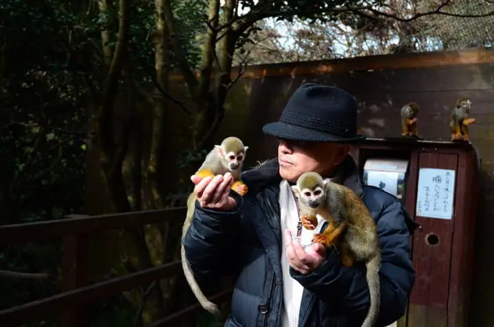 長崎再發掘・自駕精華遊！