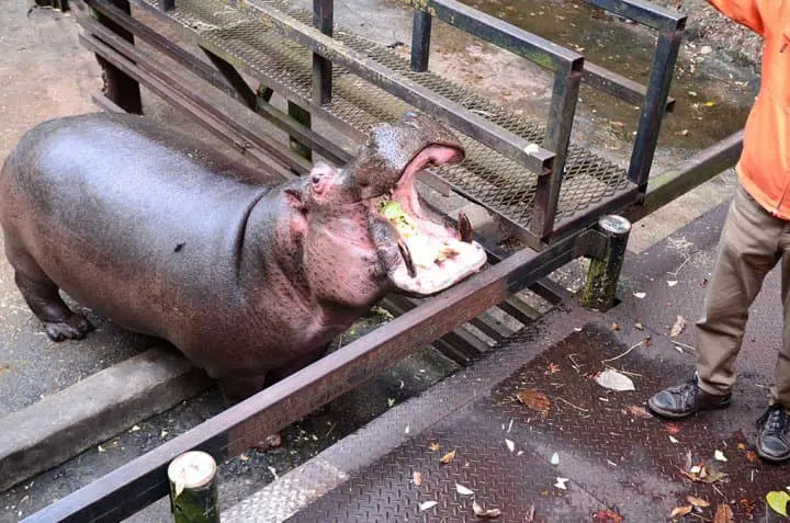 長崎再發掘・自駕精華遊！