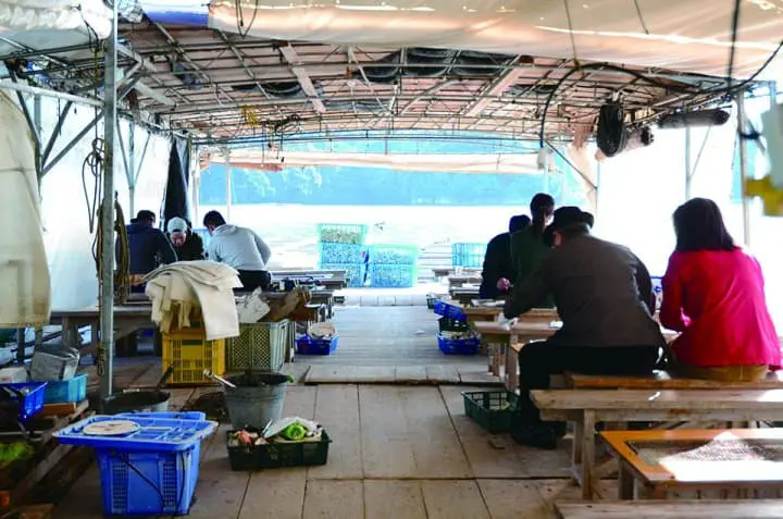 長崎再發掘・自駕精華遊！